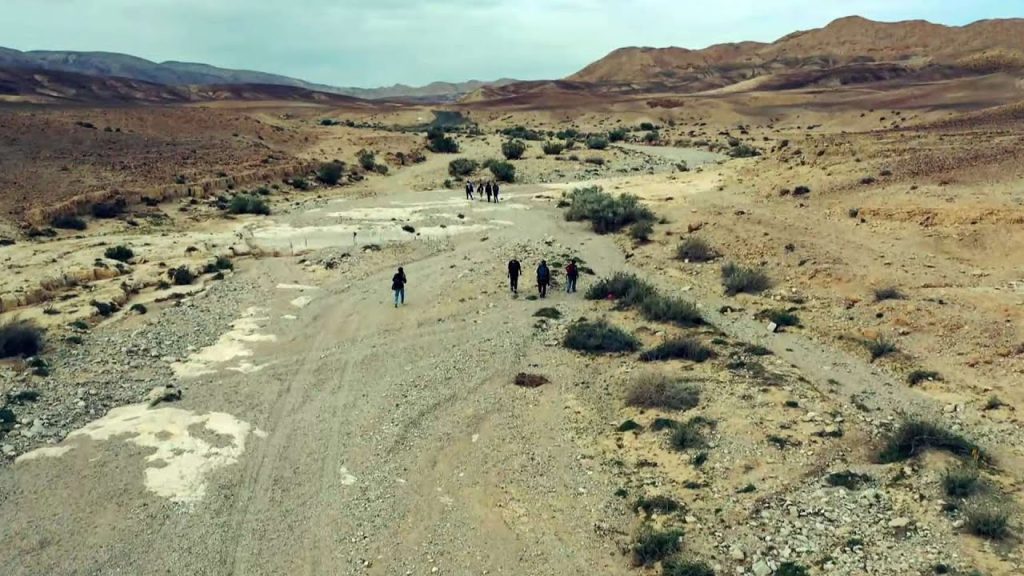 בחזרה לאדום: המיזם שמחזיר לחיים את נתיבי הסחר הקדומים של המדבר