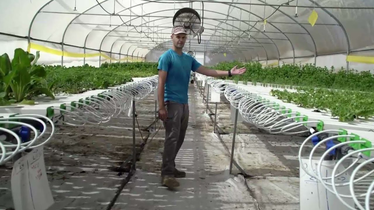 ערוגות באוויר ואפליקציית בקרה: החקלאים החדשים