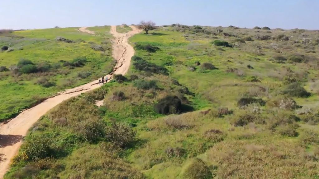 מרוב אנשים לא רואים את היער: איך משפיע הגידול באוכלוסייה על הטבע?