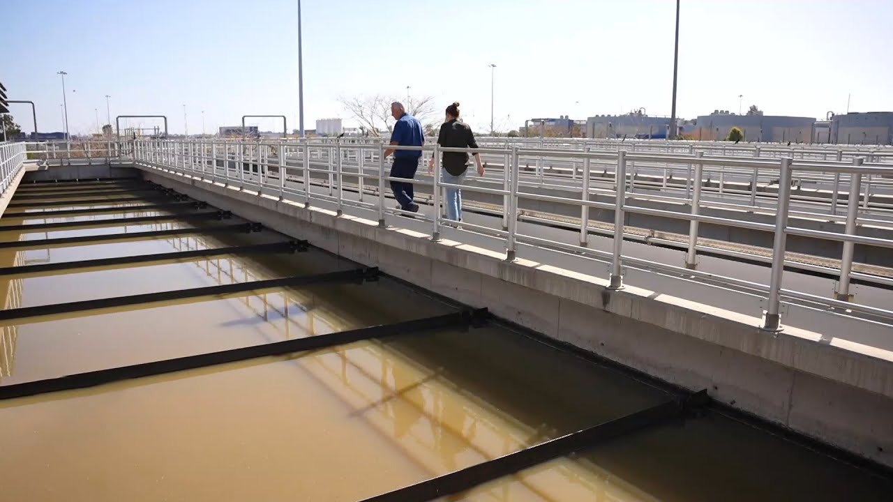 השרים והרשויות שמתעלמים מהרפש: כל האמת על הזיהום בים