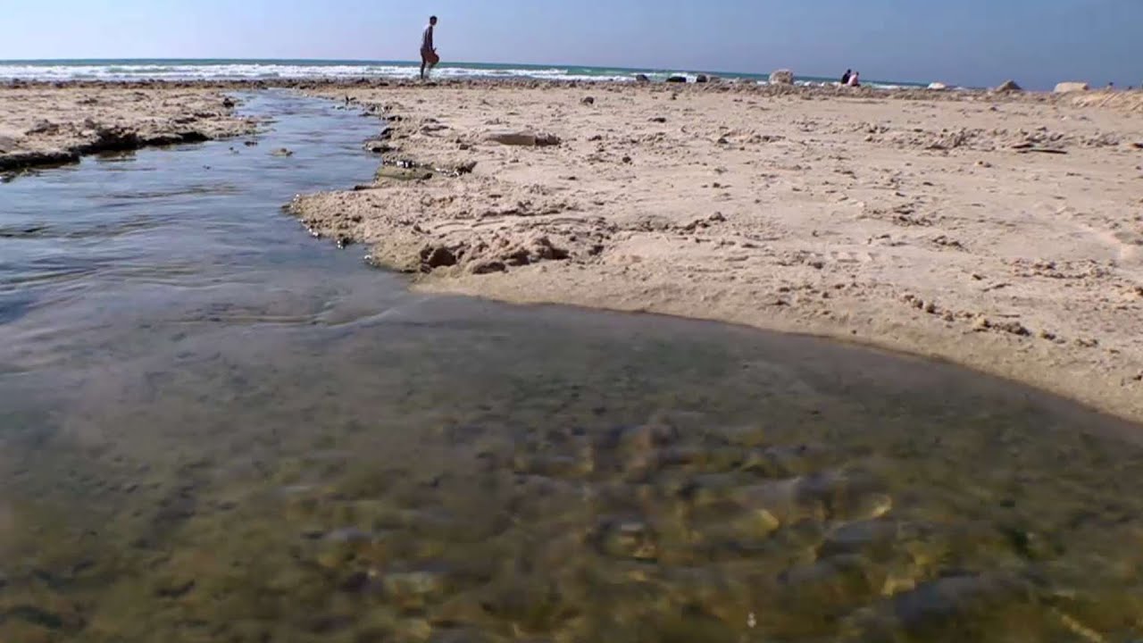 ים של חיידקים: מה קורה למי שמתריע על הזיהום החריג בים התיכון?